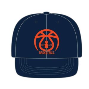 Flex Embroidery Cap